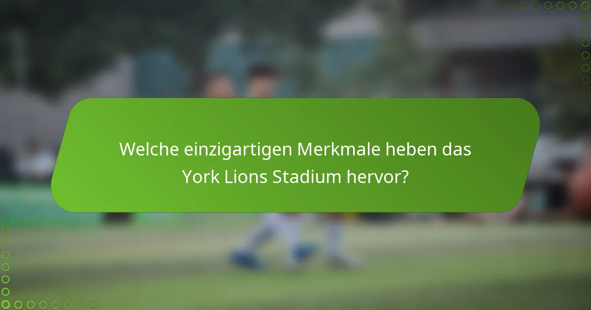 Welche einzigartigen Merkmale heben das York Lions Stadium hervor?