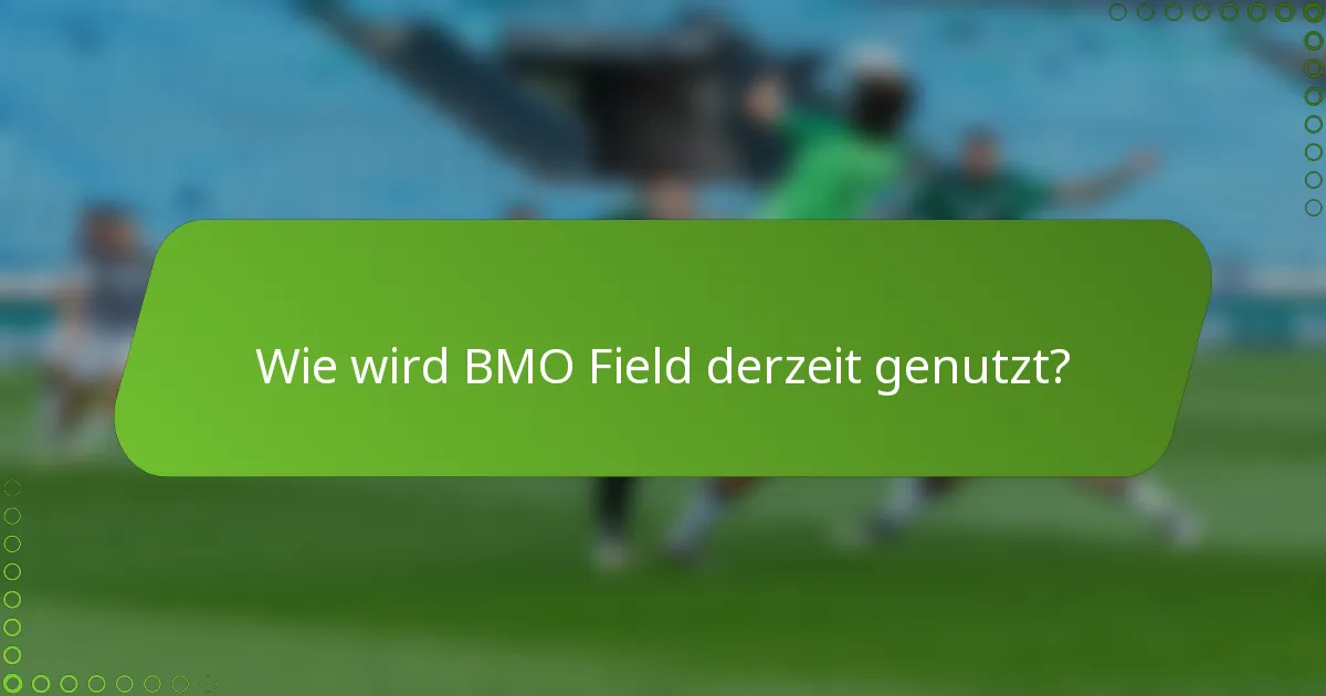 Wie wird BMO Field derzeit genutzt?